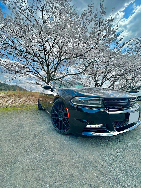 チャージャーのNOZOMIさんが投稿したカスタム事例の投稿画像2枚目
