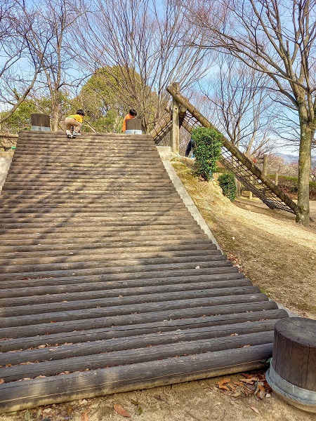 広島県安芸郡坂町 梅も桜も花盛りの横浜公園 Trill トリル