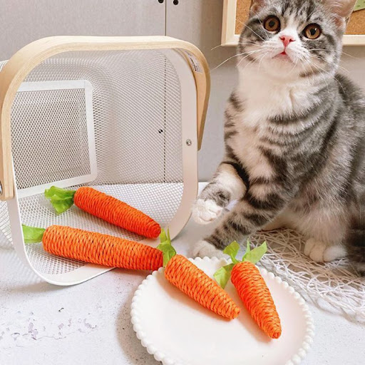 Title 2, Sound Carrot Kittens Molar Rod Cat Scratch Boar...