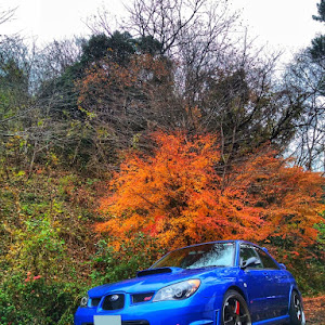 インプレッサ WRX STI GDB