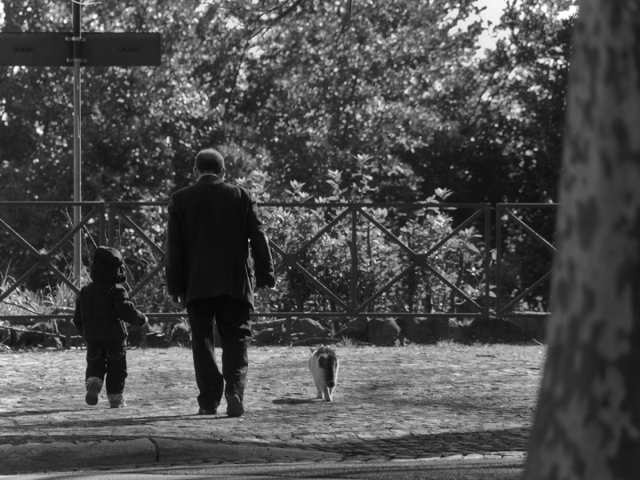 Il vecchio e il bambino...e il gatto di Maurizio Valentini