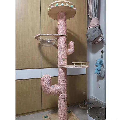 Title 21, Cactus Cat Climbing Frame Self-made DIY Complet...