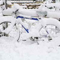 hai voluto la bicicletta? Ora pedalaaaaaa di 