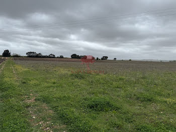 terrain à Saint-André-de-Sangonis (34)