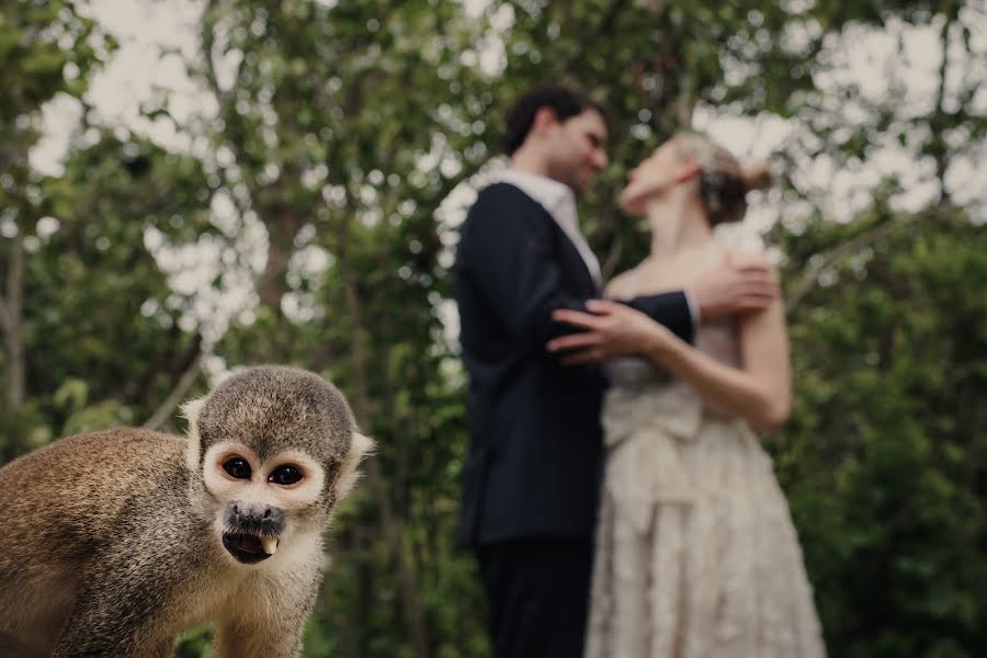 Wedding photographer Antonio Trigo Viedma (antoniotrigovie). Photo of 30 January 2019