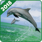 Dolphin Wallpaper  Icon