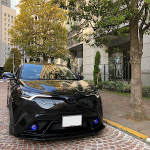 C-HR ZYX10