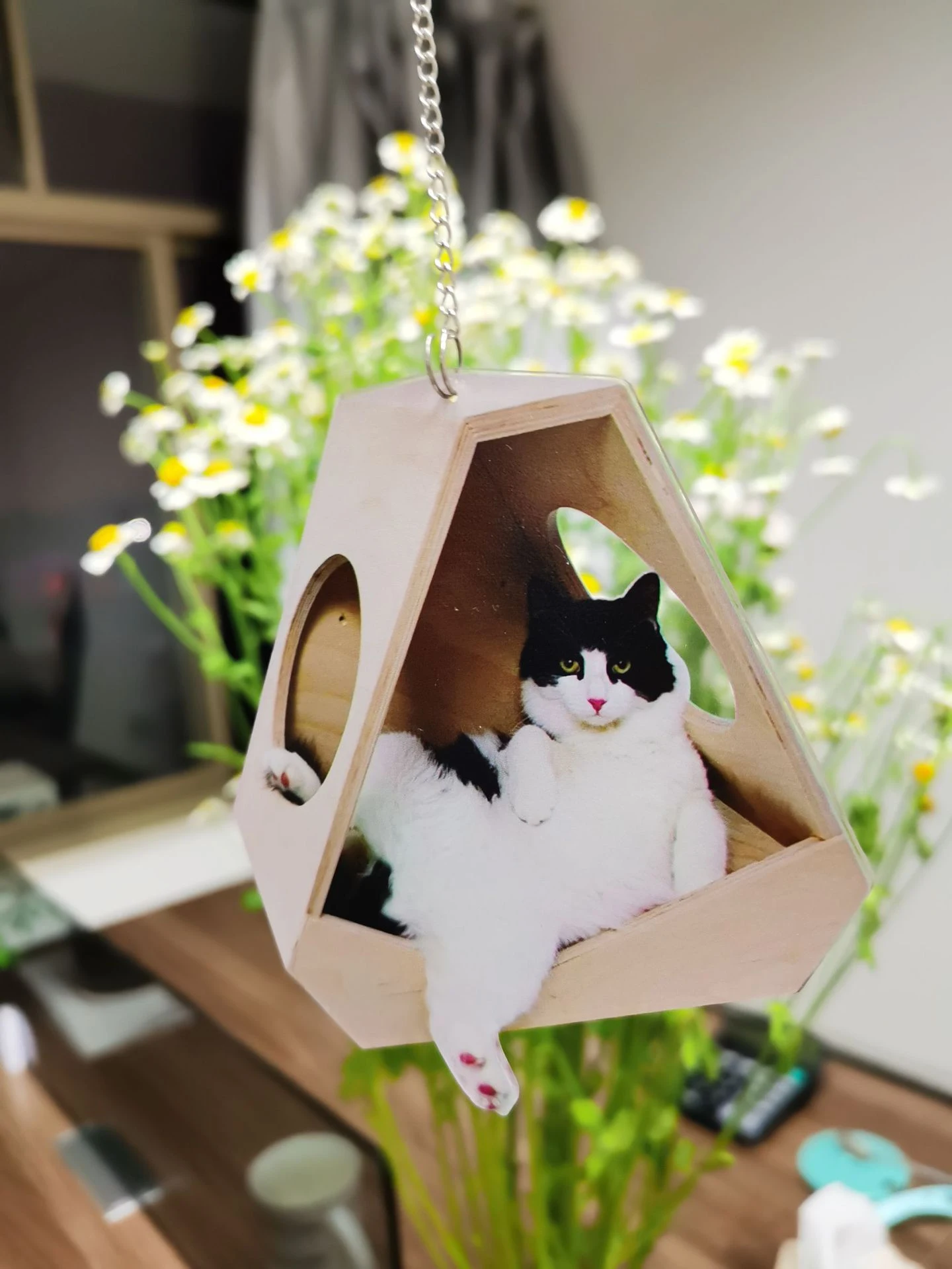 Title 3, Renkli Car Kitty Balon Kolye Bu neşeli süs eşya...