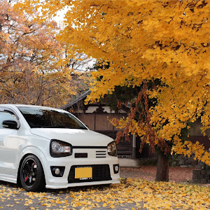 アルトワークス HA36S