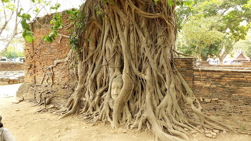 Ayutthaya Temples Thailand 2016