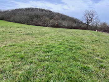 terrain à Loubressac (46)