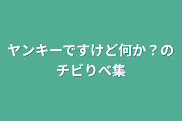 ヤンキーですけど何か？のチビりべ集