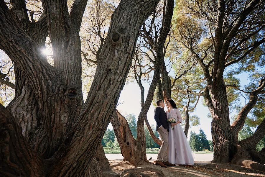 Wedding photographer Sergey Lomanov (svfotograf). Photo of 26 January 2018