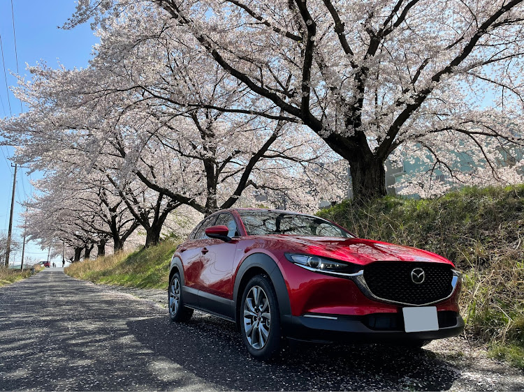 CX-30の納車日から1周年記念・1年記念日・100周年特別記念車・引越し完了・２月も宜しくお願いしますに関するカスタム事例の投稿画像2枚目
