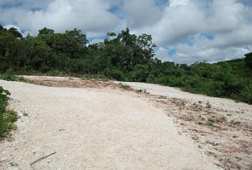  Vente Terrain à bâtir - à Sainte-Anne (97180) 