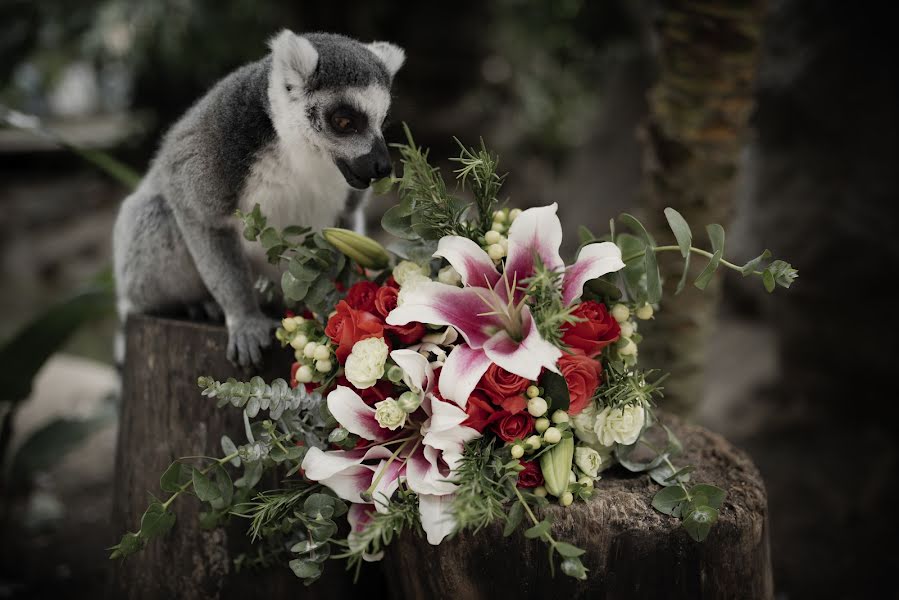 Fotografo di matrimoni Maria Fleischmann (mariafleischman). Foto del 1 novembre 2017