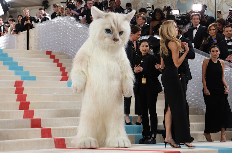 Jared Leto, dressed as Karl Lagerfeld's cat Choupette, poses at the Met Gala.