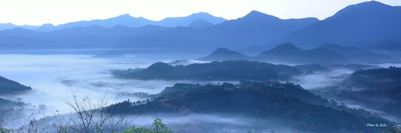 金龍山 雲海 夜琉璃