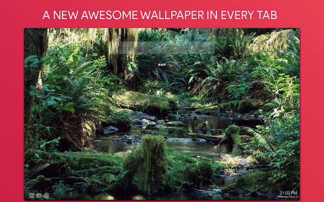 Jungle Forest Wallpaper HD Custom New Tab