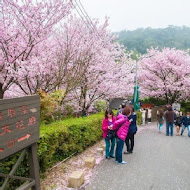 陽明山平菁街橘咖啡