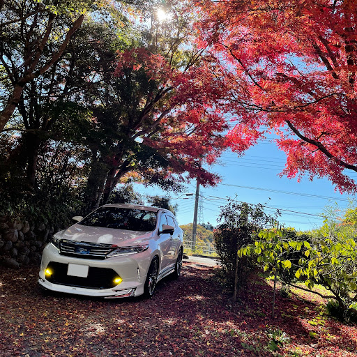 kx9のプロフィール画像