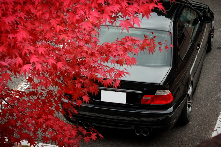 3シリーズ クーペのBMW・318ci・2022ベストショット・10月にエントリーしますに関するカスタム事例の投稿画像1枚目