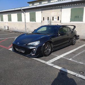 86 ZN6