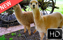 Alpaca HD new free tab theme small promo image