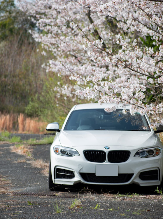 2シリーズ クーペのbmw・桜と愛車・桜とコラボ・桜に関するカスタム事例の投稿画像1枚目