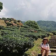 台灣農林熊空茶園