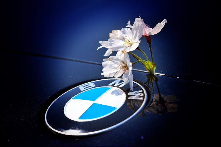 1シリーズ ハッチバックのbmw・桜に関するカスタム事例の投稿画像1枚目
