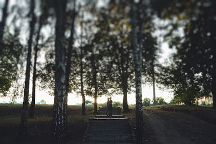 Photographe de mariage Andrey Prokopchuk (andrewprokopchuk). Photo du 10 novembre 2015