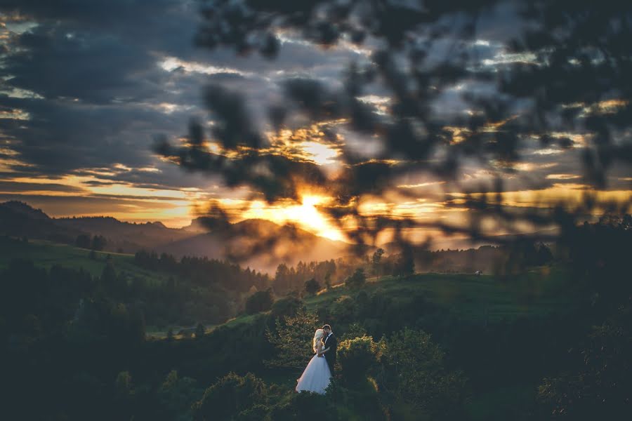 Fotógrafo de bodas Tim Demski (timdemski). Foto del 29 de agosto 2017