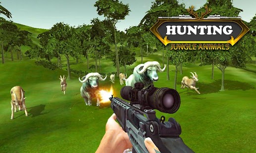 hunting Jungle Animals