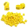 miniatures image - 2