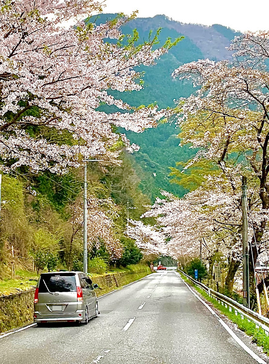 の投稿画像2枚目