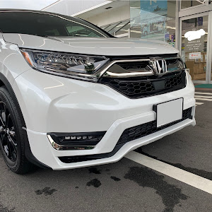 CR-V RW1