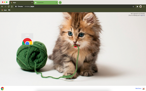 Cat- Themeforchrome