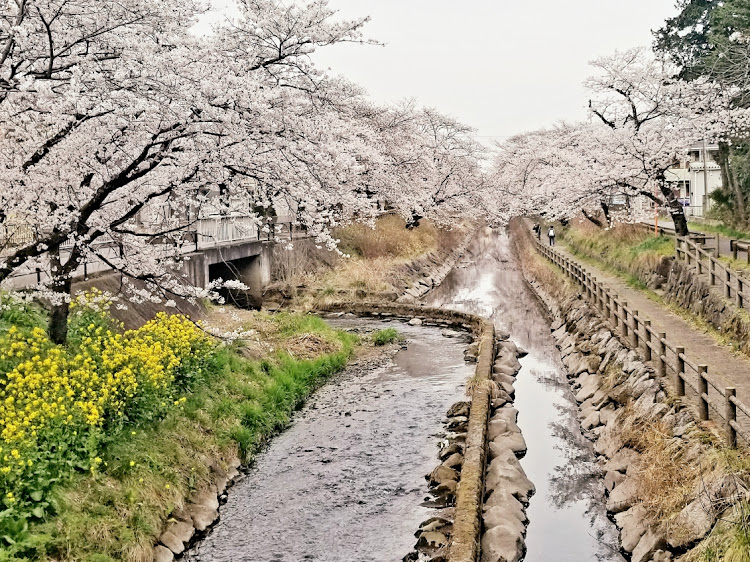 の投稿画像3枚目