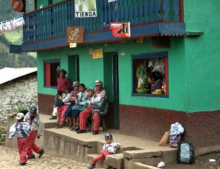 Casa verde e pantaloni a righe di paolo-spagg