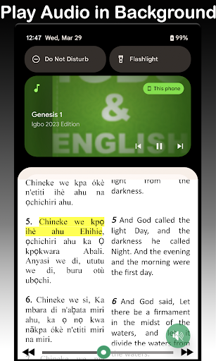 Screenshot Igbo Bible - Igbo & English