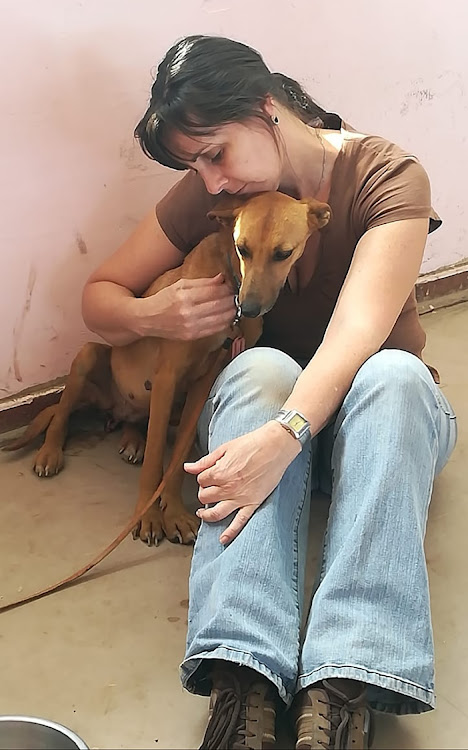 Louise Imprey gives Snoopy some tender care as part of her Spay a Stray non-profit organisation.