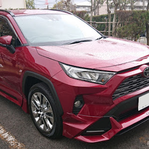 RAV4 MXAA54