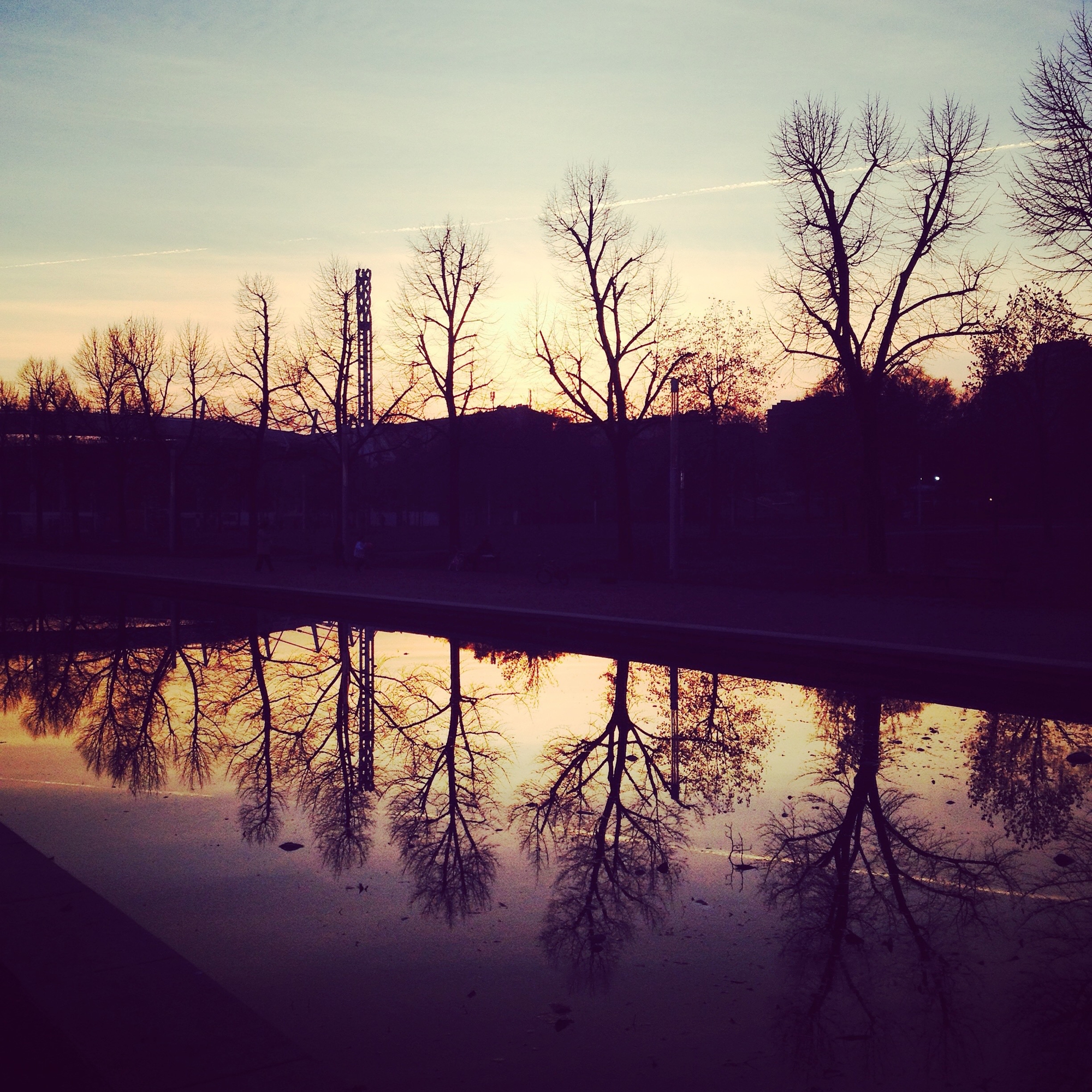 Trees reflections at dusk. di chiara.savarino