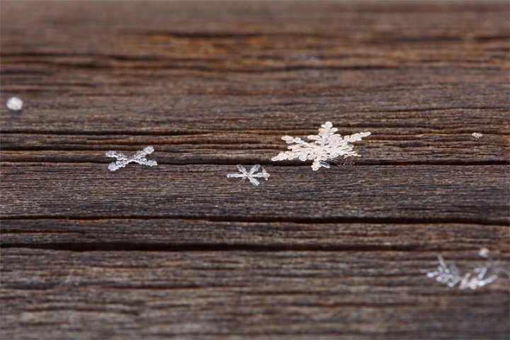 Stelle di neve di messersnif