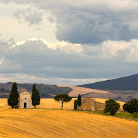 "Giallo grano in Val D'Orcia" ! di 