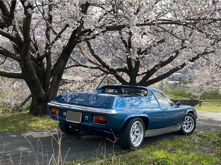 ヨーロッパの桜と愛車・桜とコラボ・ドライブ・純正スタイルに関するカスタム事例の投稿画像3枚目