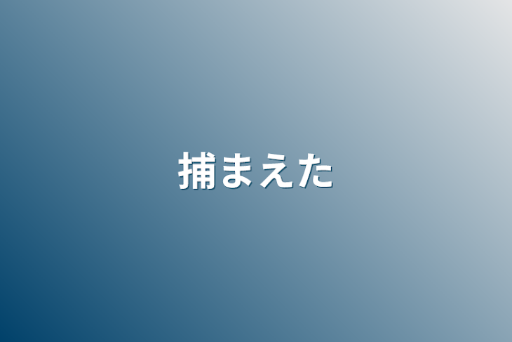 「捕まえた」のメインビジュアル