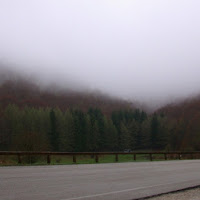 Immersa nel verde e avvolta dal grigio di 