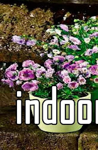 Houseplants(圖1)-速報App